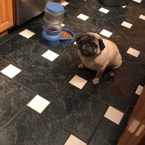 Meet your Posher, Cassie